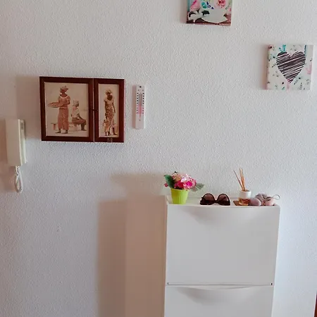 Apartment Estudio Erika *